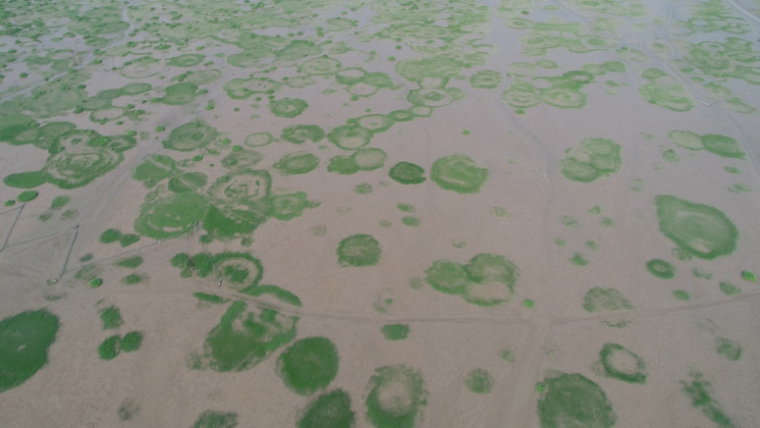 精灵圈-图1 精灵圈-图1