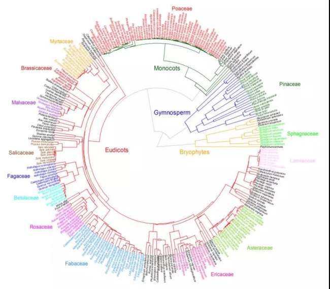 学术先锋2-1 学术先锋2-1