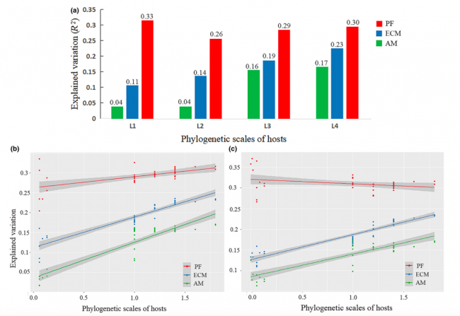 Effects of host phylogeny, habitat and spatial proximity on host specificity and diversity of pathogenic and mycorrhizal fungi in a subtropical forest Effects of host phylogeny, habitat and spatial proximity on host specificity and diversity of pathogenic and mycorrhizal fungi in a subtropical forest