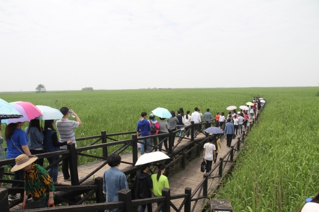 公园漫步2 公园漫步2