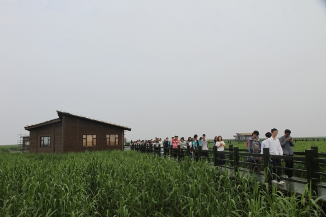 离开东滩鸟类国家级自然保护区 离开东滩鸟类国家级自然保护区