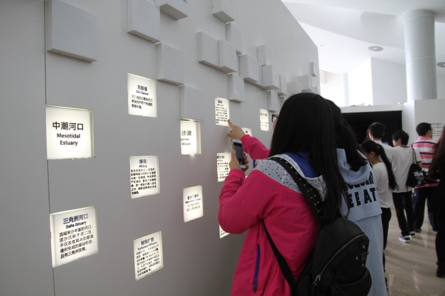 参观人文与历史厅:知识墙1 参观人文与历史厅:知识墙1