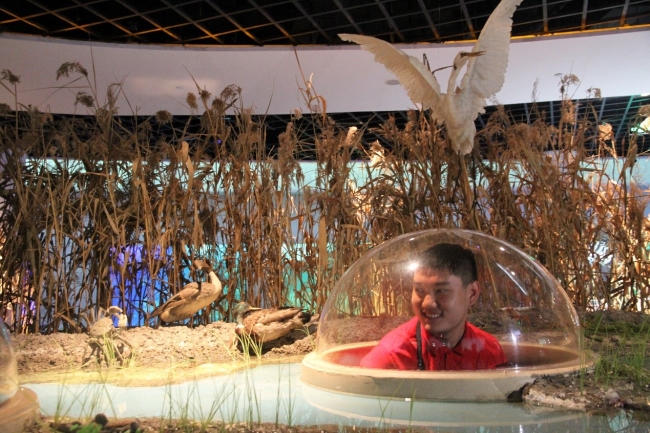 参观长江河口科技馆资源与环境厅 参观长江河口科技馆资源与环境厅