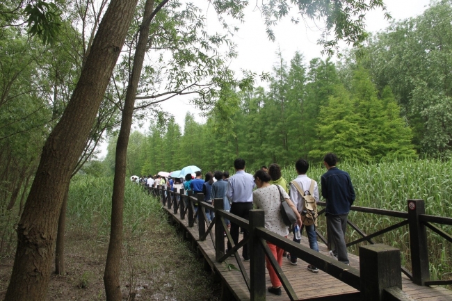 公园漫步1 公园漫步1