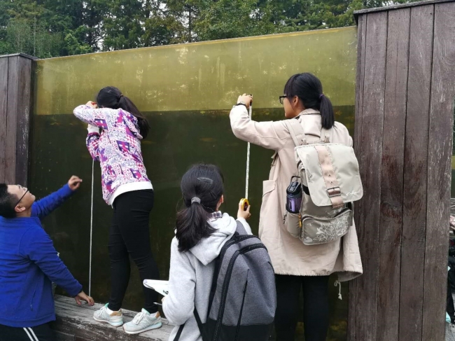 在西溪湿地水下生态长廊观察典型水下生态系统结构 在西溪湿地水下生态长廊观察典型水下生态系统结构