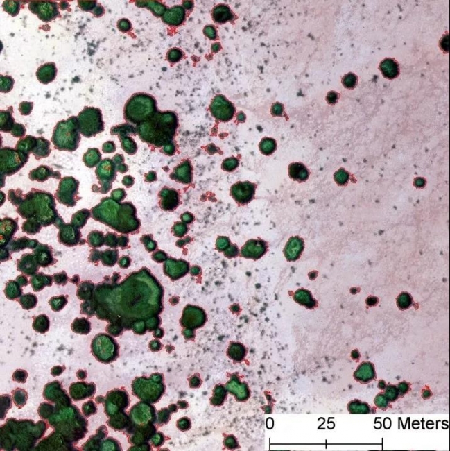 学术先锋1-2 学术先锋1-2