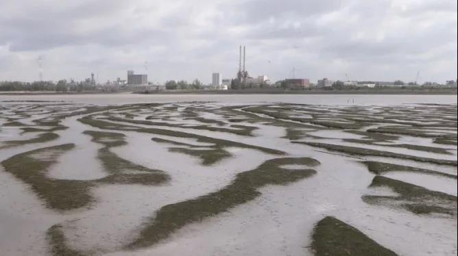 学术先锋1-1 学术先锋1-1