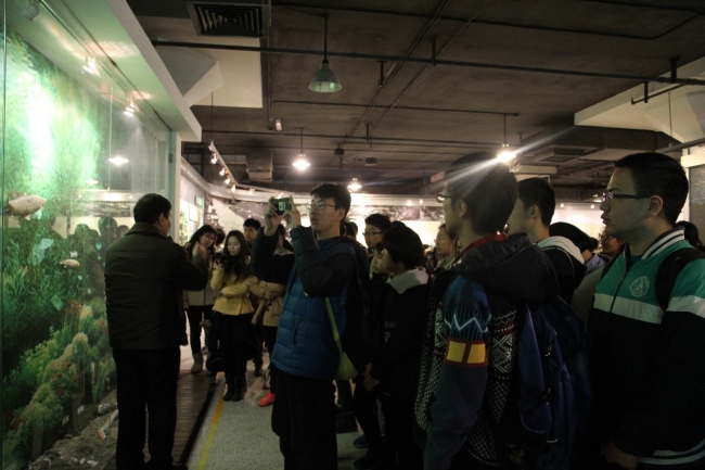 苏州河黑臭以前生活在其中的鱼类 苏州河黑臭以前生活在其中的鱼类